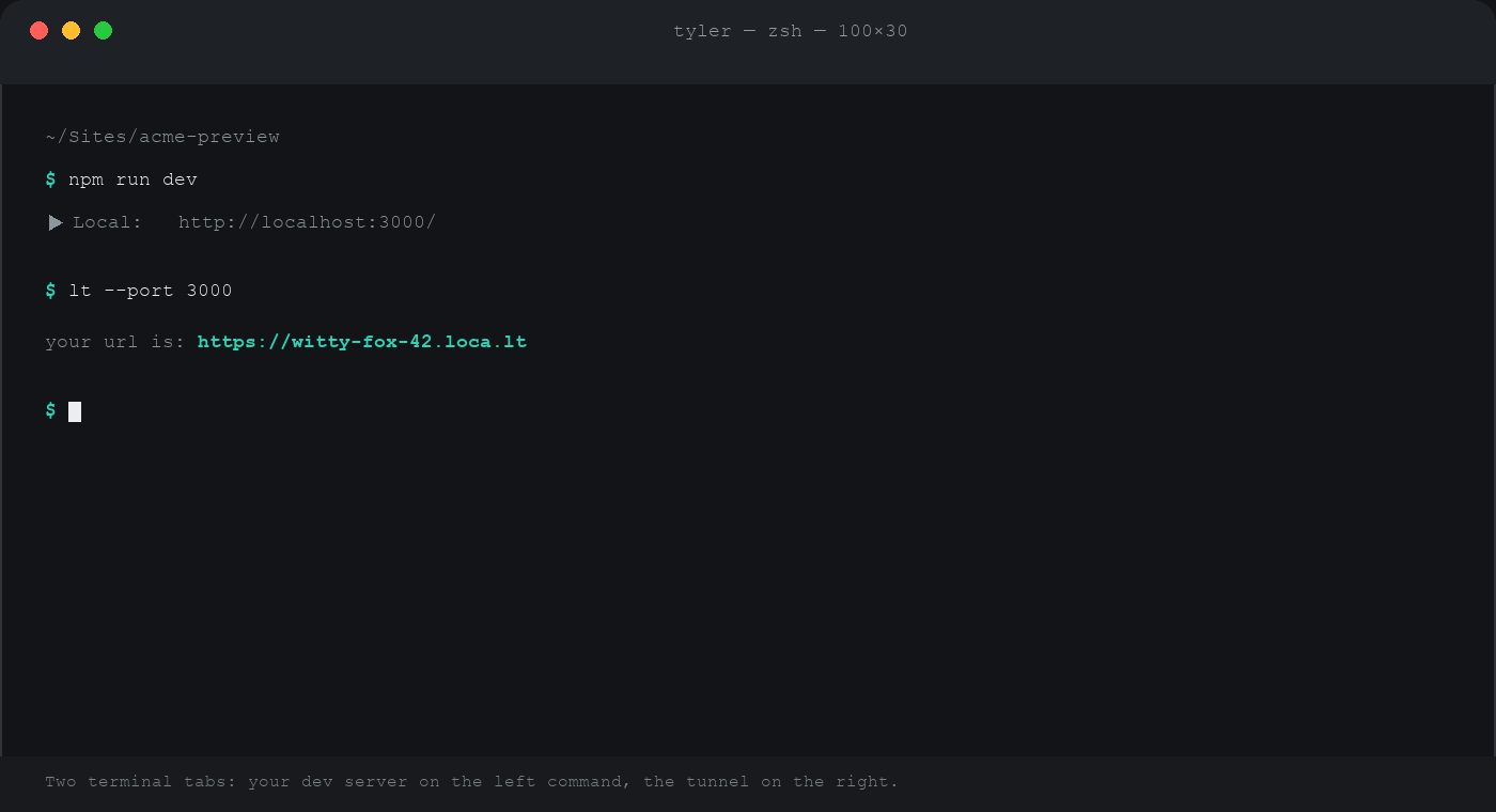 Terminal showing npm run dev on localhost:3000, then lt --port 3000 printing a public loca.lt URL