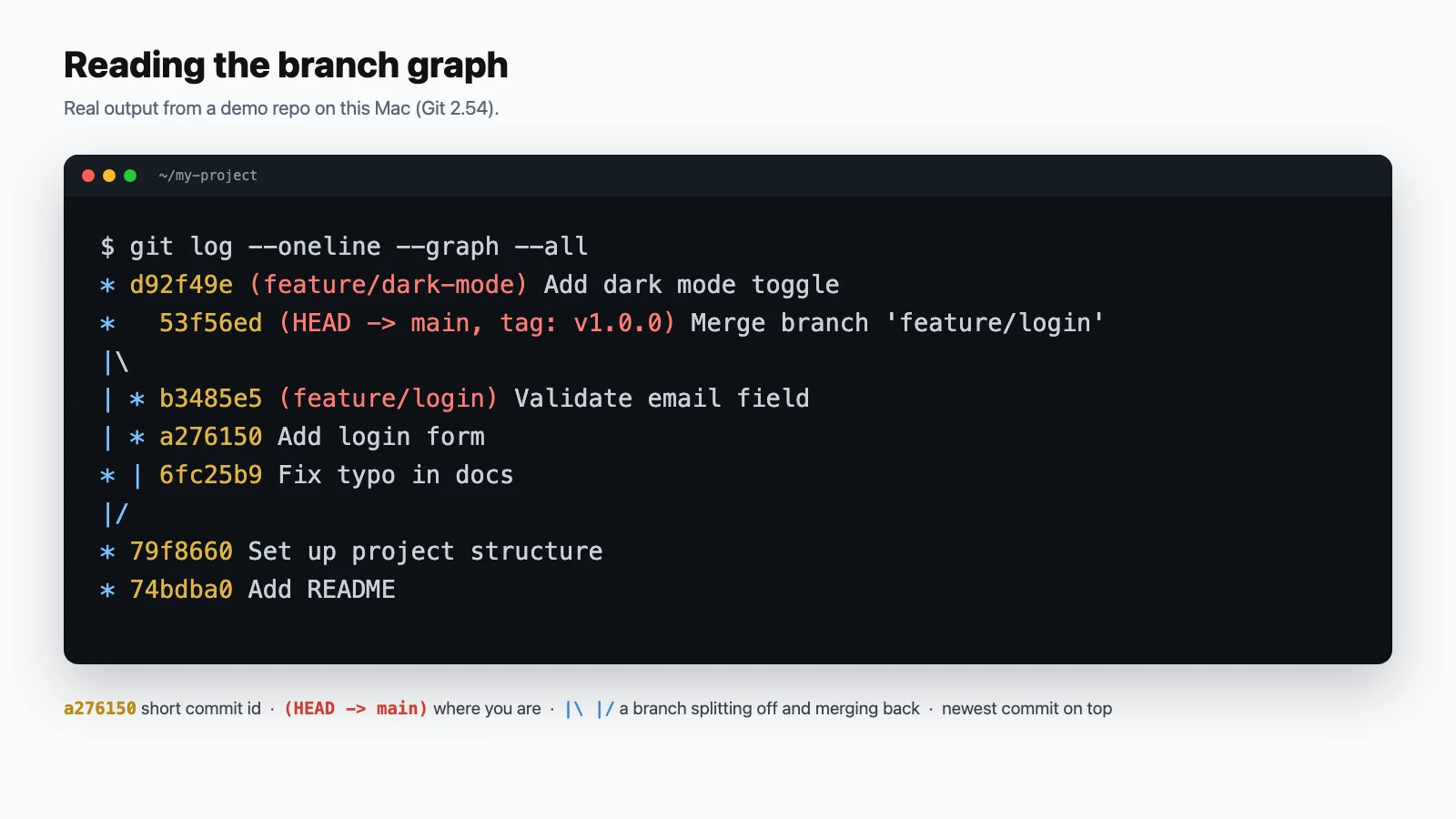 Terminal showing real git log --oneline --graph --all output: a feature/login branch splitting off and merging back into main, tagged v1.0.0, with a newer feature/dark-mode commit on top