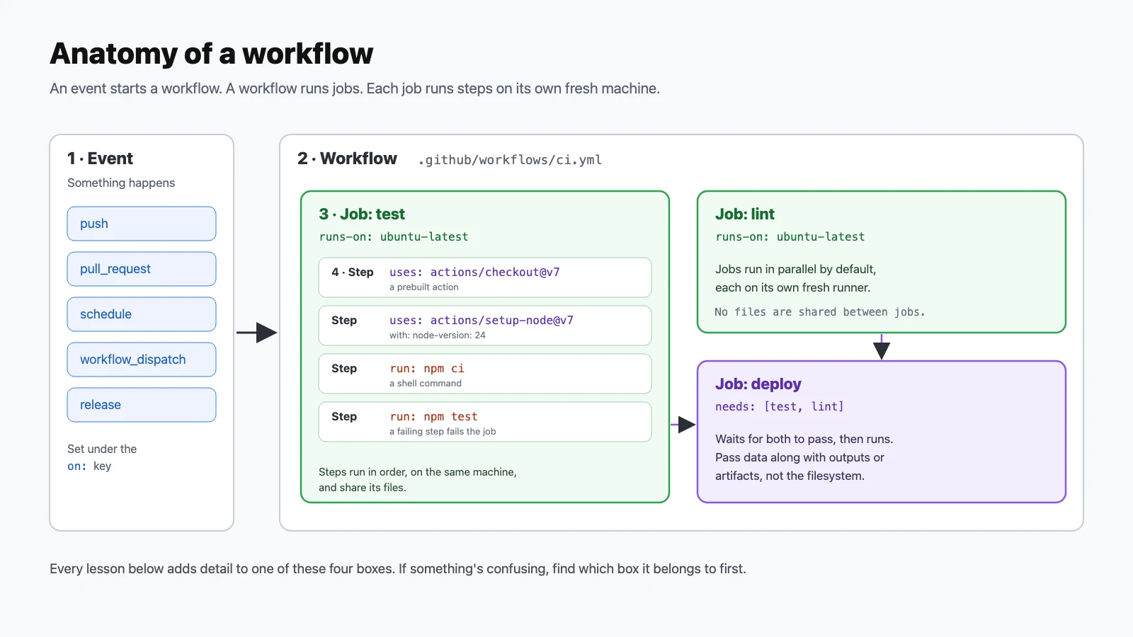 Diagram of workflow anatomy: events such as push, pull_request, schedule, workflow_dispatch and release start a workflow file in .github/workflows; the workflow holds parallel jobs test and lint, each on its own runner, and a deploy job that needs both; the test job runs steps in order: checkout, setup-node, npm ci, npm test