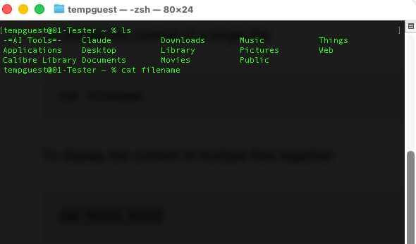cat – Concatenate and Display File Content